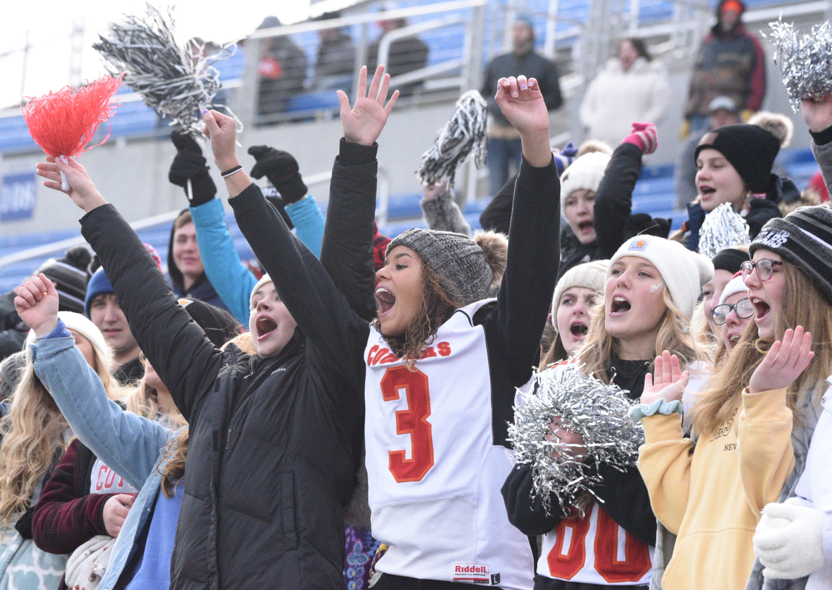Cougar Fans